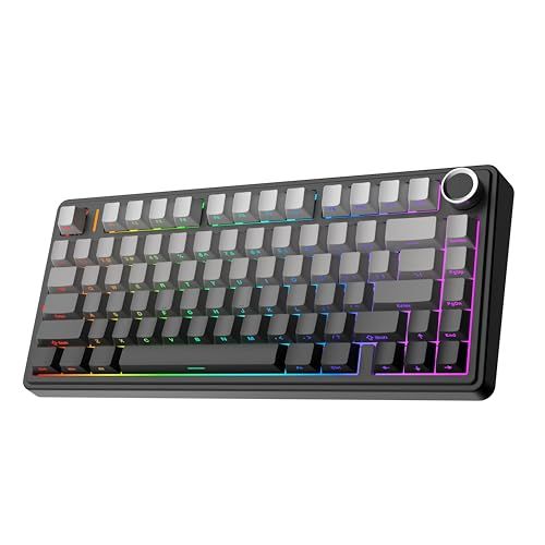 【新品】ゲーミングキーボード ガスケット メカニカルキーボード 5層パッド＆ノブ付き 75% ワイヤレス ホットスワッパブル Bluetooth/2.4GHz/USB-C RGB 技適認証取得 (Black Gradient, LEOBOG 63c34d1b