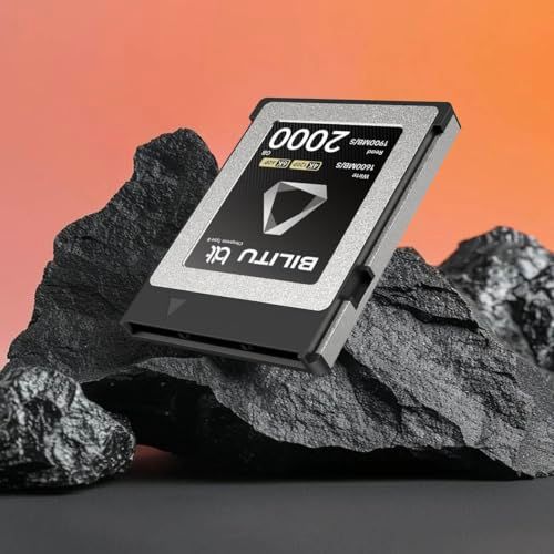 CFexpress B-Type 256GB メモリーカード 最大1700MB/秒の読み取り速度と1600MB/秒の書き込み速度 カメラ対応 4K/8K/6K/12Kビデオ録画に最適wb 49b6035a