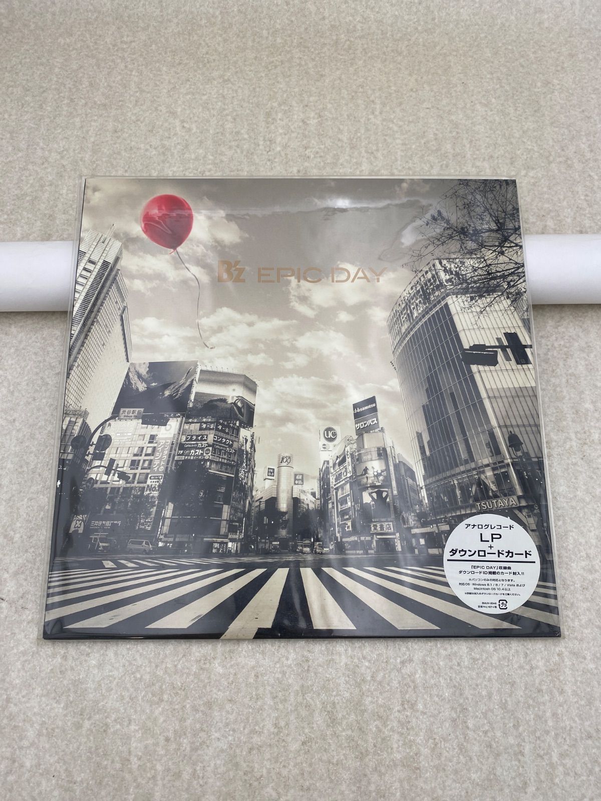 EPIC DAY エピック・デイ B'z 4,250円