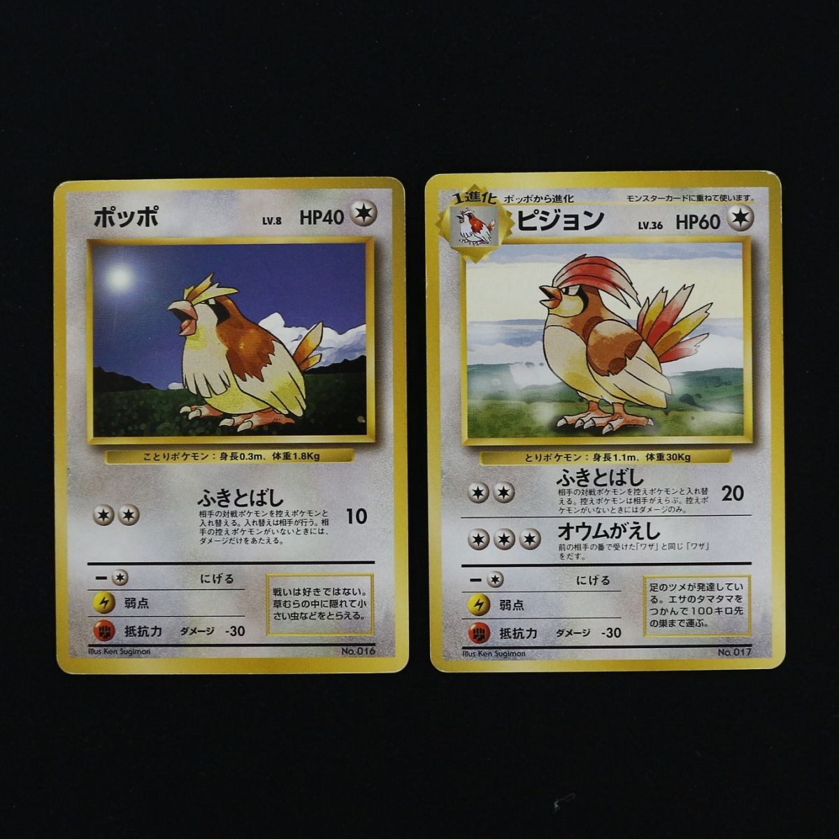 ポケモンカード 旧裏 初期 マークなしポッポ LV.8 HP40 ② ST] ポケモンカード ポッポ 旧裏 マークなし LV 8 HP 40 ピジョン 旧裏