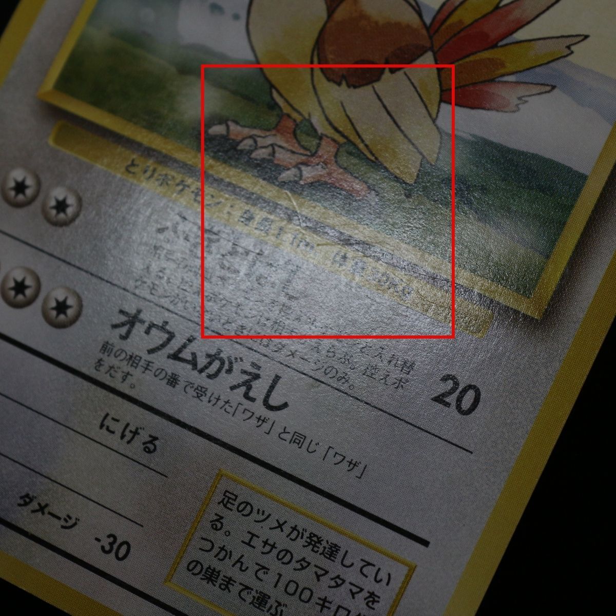 ST] ポケモンカード ポッポ 旧裏 マークなし LV 8 HP 40 ピジョン 旧裏