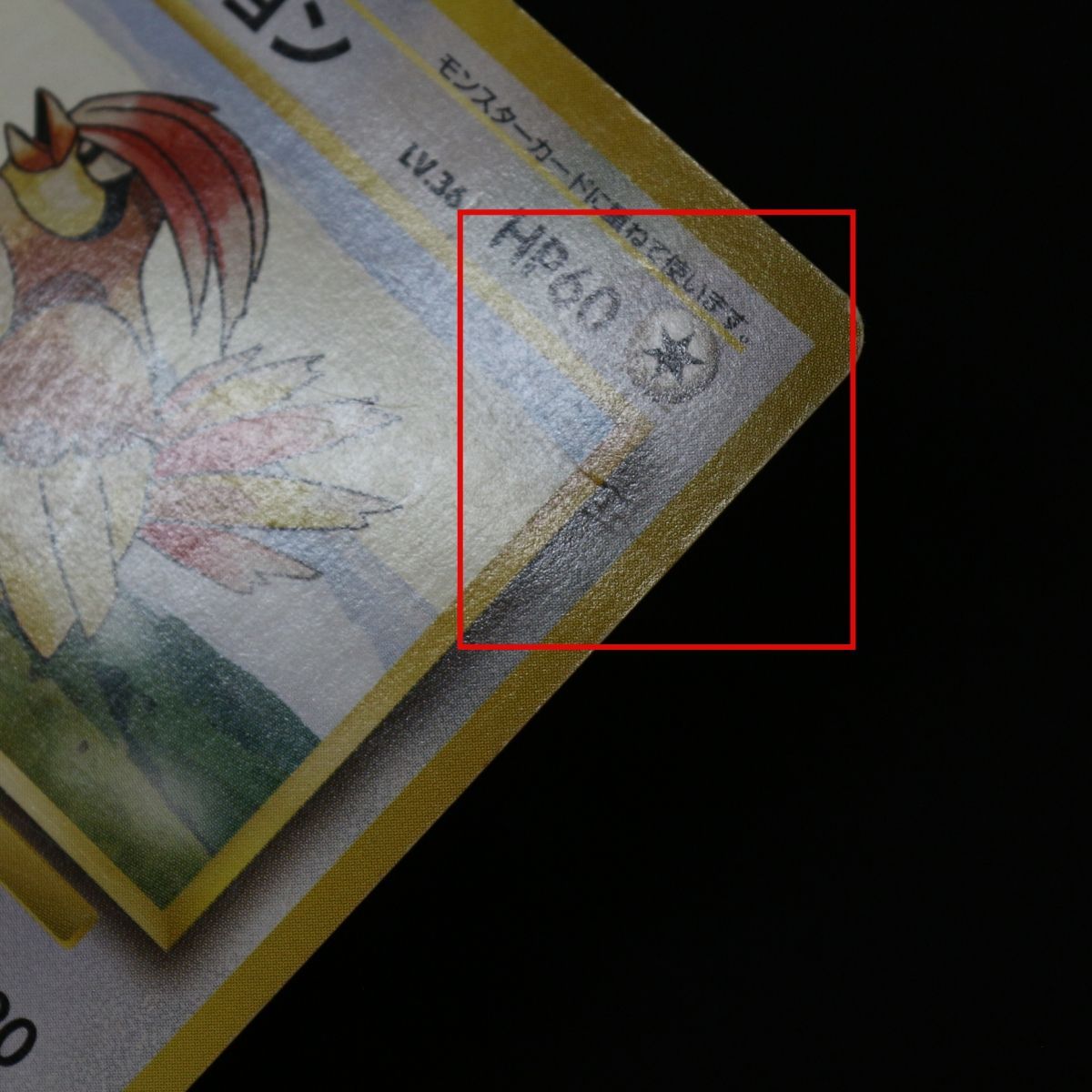 ST] ポケモンカード ポッポ 旧裏 マークなし LV 8 HP 40 ピジョン 旧裏