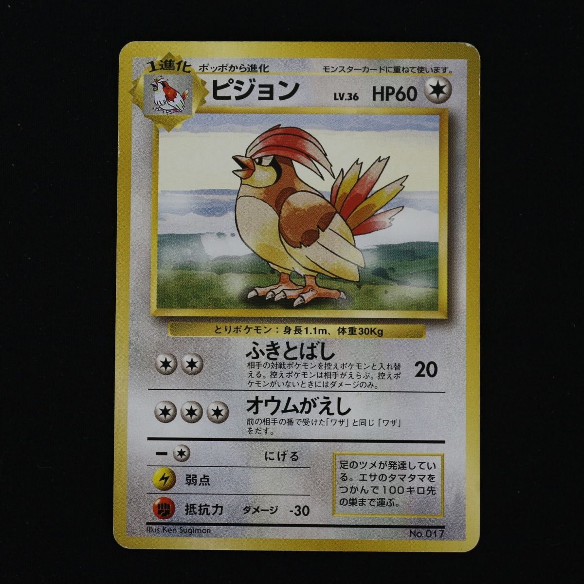 ST] ポケモンカード ポッポ 旧裏 マークなし LV 8 HP 40 ピジョン 旧裏