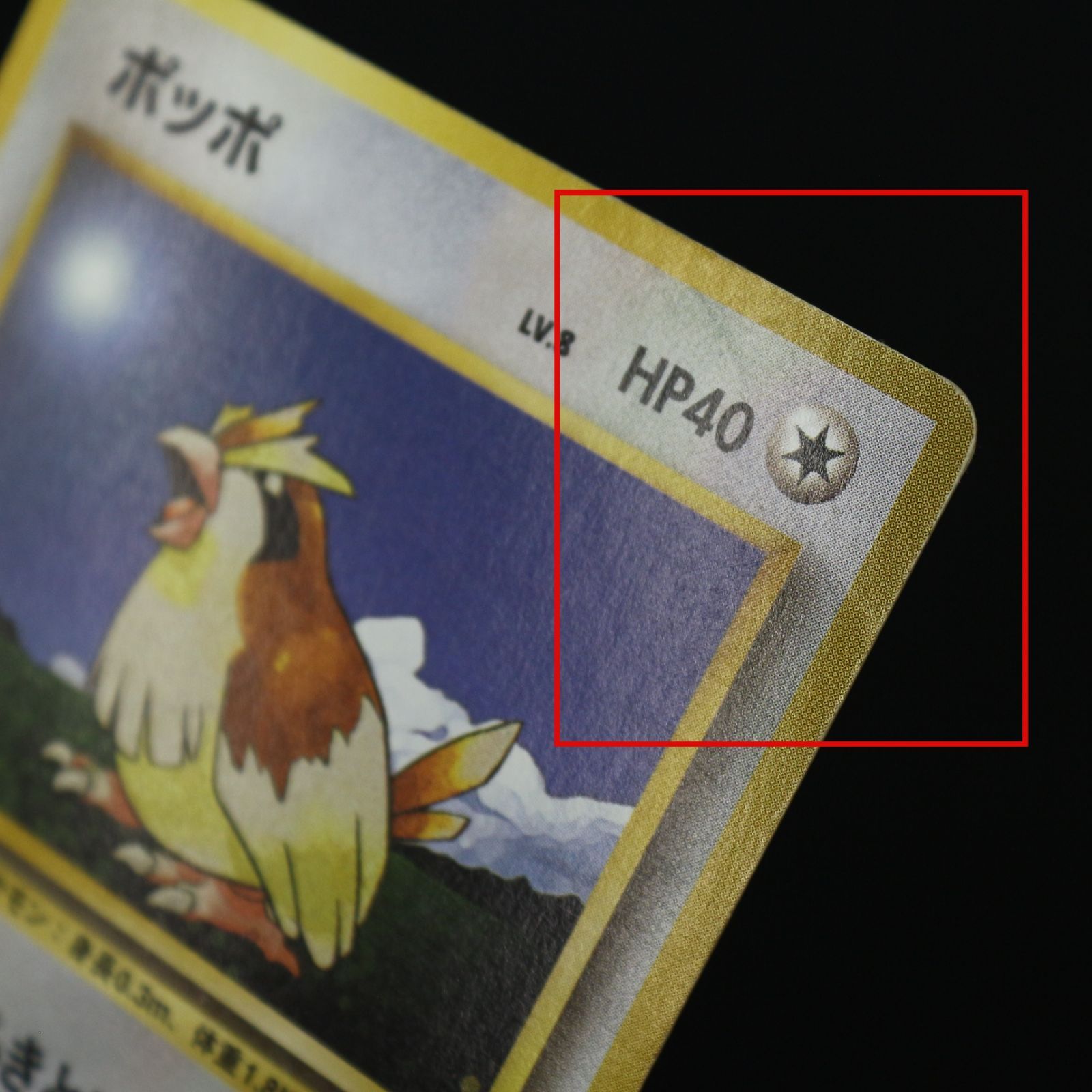 ST] ポケモンカード ポッポ 旧裏 マークなし LV 8 HP 40 ピジョン 旧裏