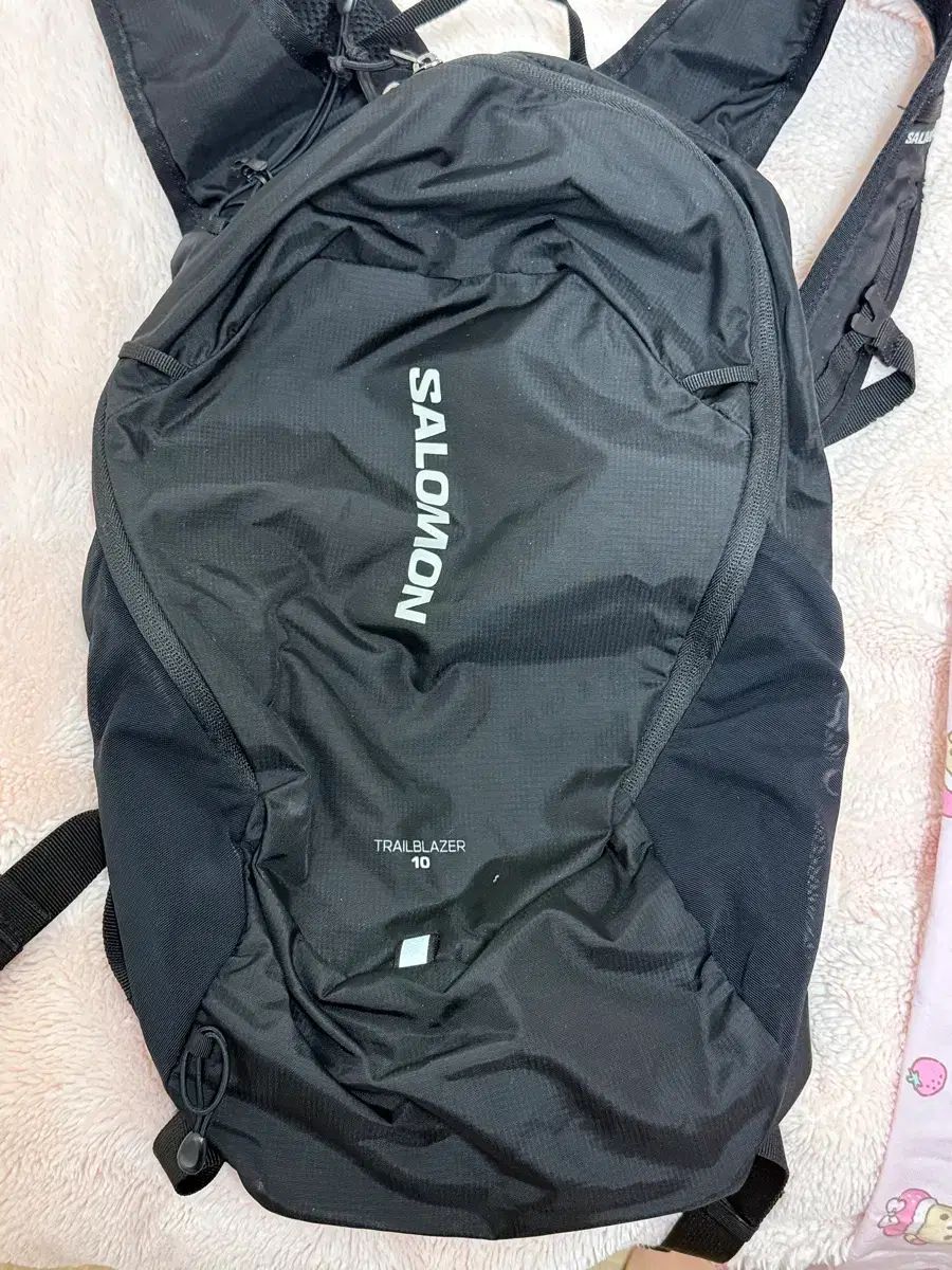 SALOMON サロモン トレイルブレーザー 10