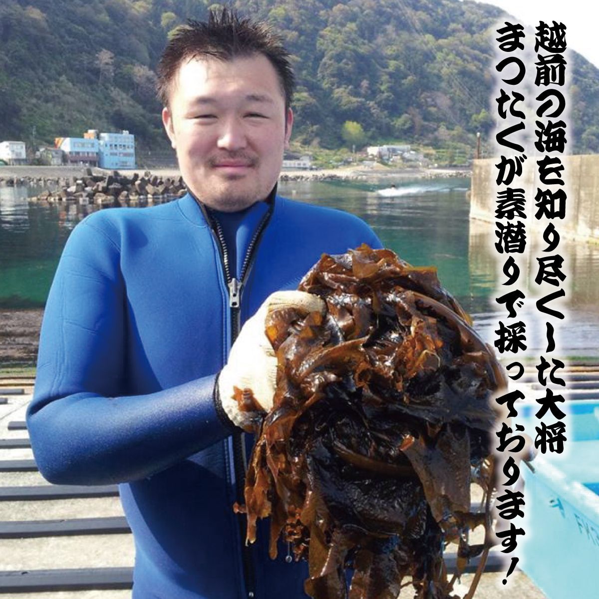 送料無料 越前産 天然 干し板わかめ 20g 5パック