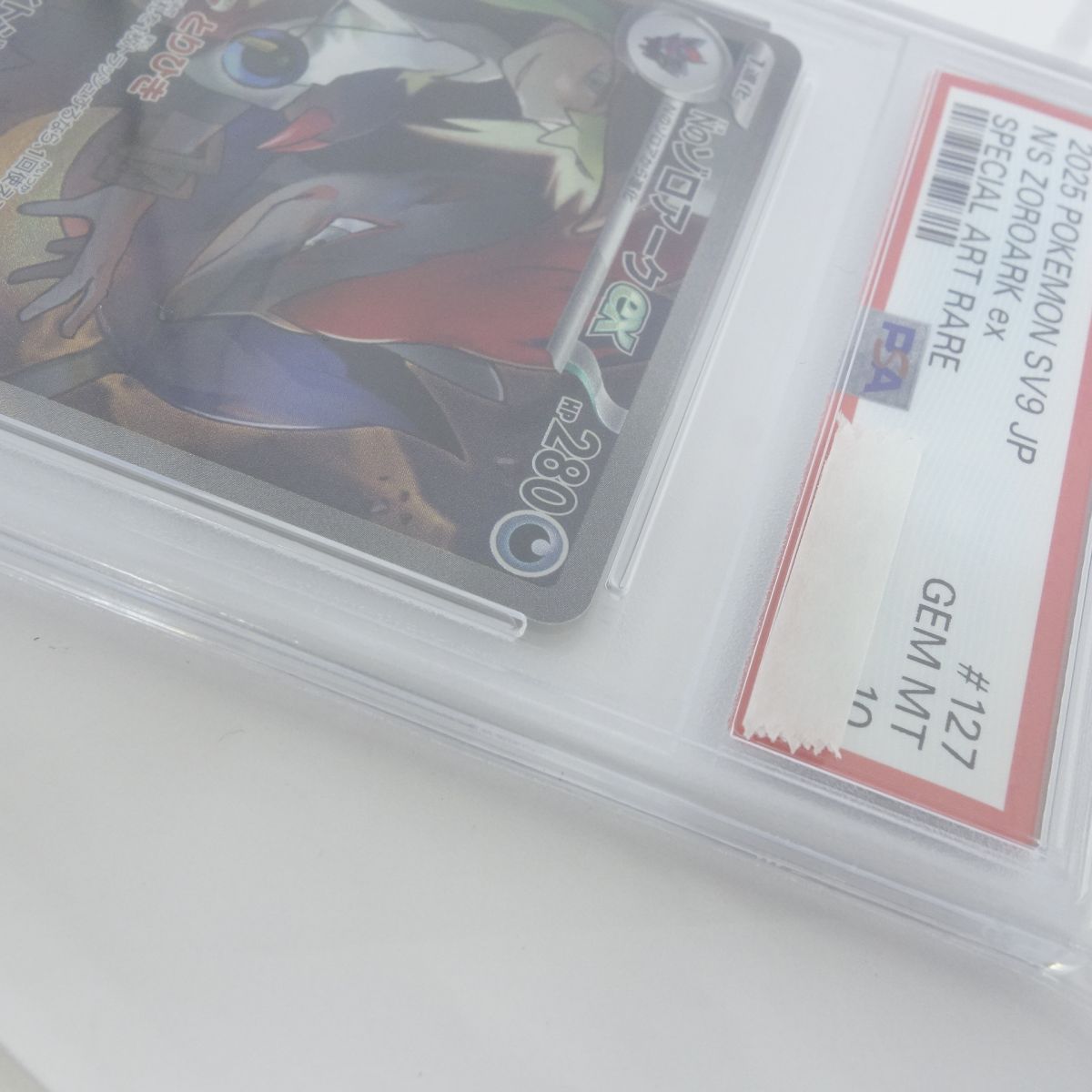 PSA10】ポケモンカード Nのゾロアークex sv9 127/100 SAR 鑑定品 