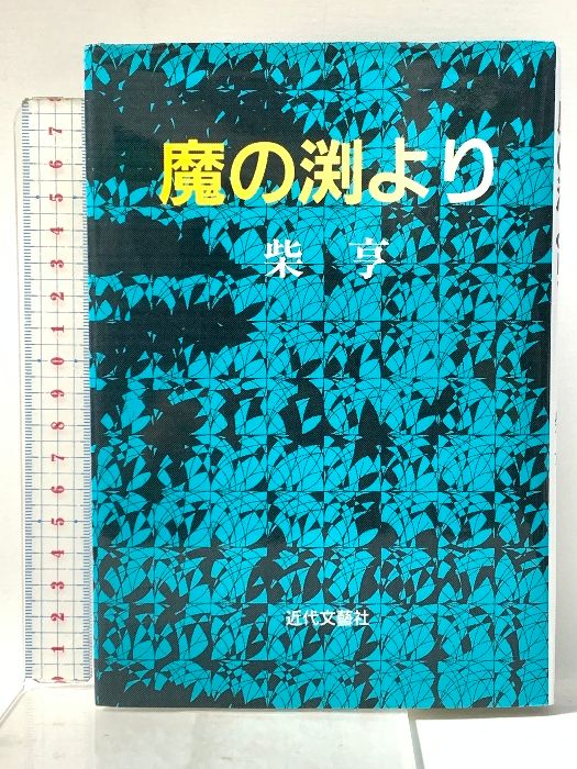魔の淵より 近代文藝社 柴亨