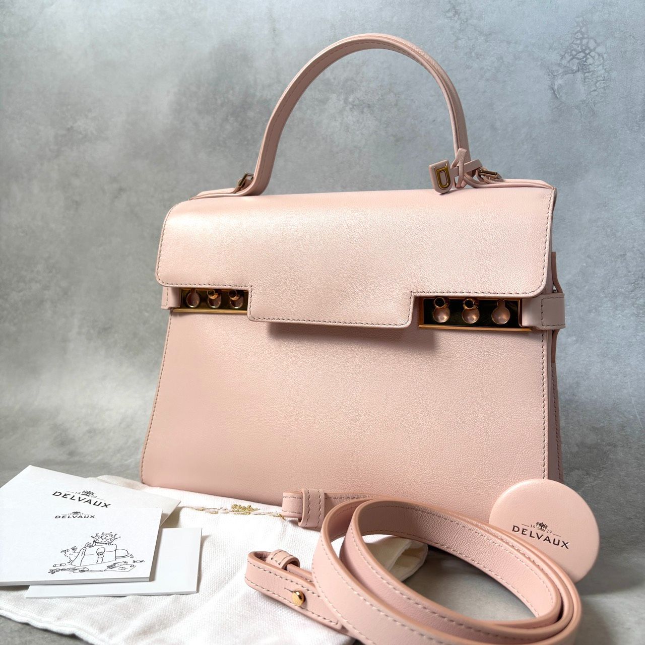 極美品】DELVAUX デルヴォー タンペートMM ハンドバッグ ショルダー
