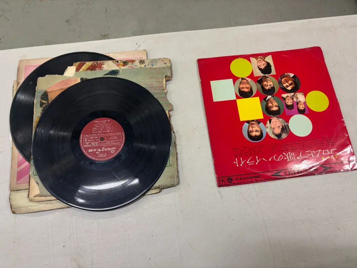 変化する エルフィパン レコード 28 腸 まとめ売り 6