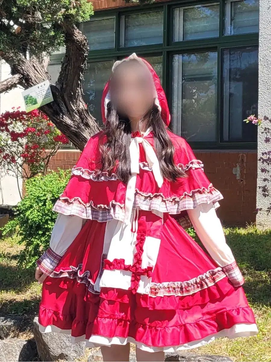 出品 卒業写真 卒業写真 赤ケープ 出品