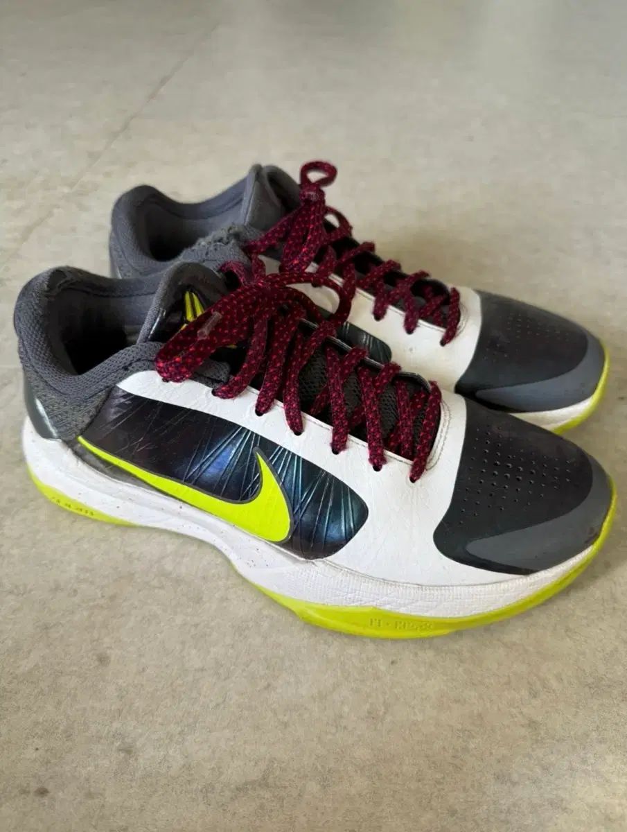 コービー5 カオス 265