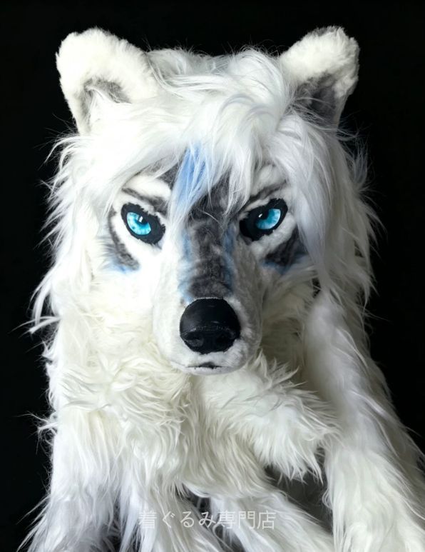犬　猫　着ぐるみ ヘッド全頭　ヘッド ケモノ ファースーツ ぬいぐるみ コスプレ コスチューム Kurumi 一点物 B717