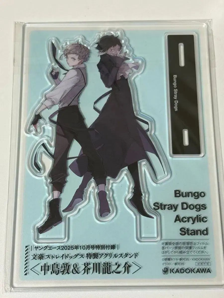 文豪ストレイドッグス ヤングエース 付録 新双黒 アクスタ アクリル 