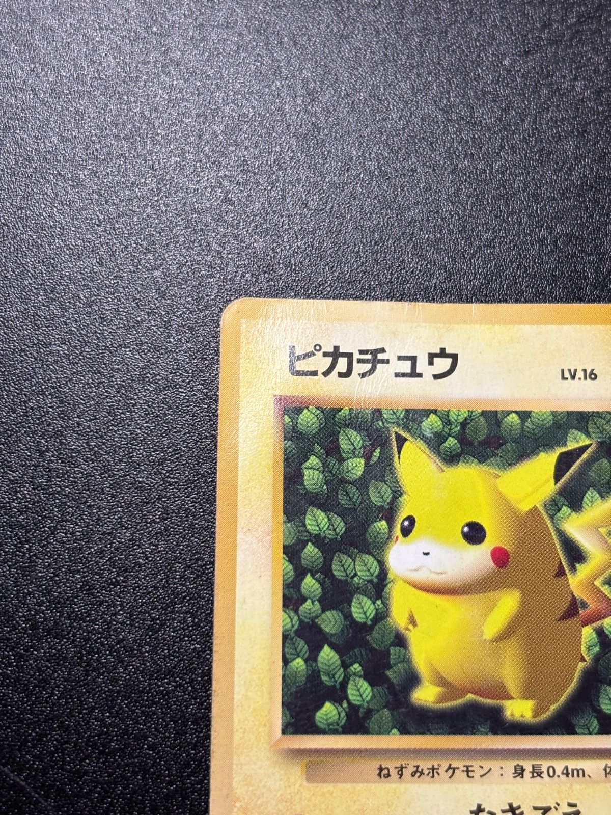 ピカチュウ 旧裏 プロモ 光沢なし 状態特価 【公式通販】