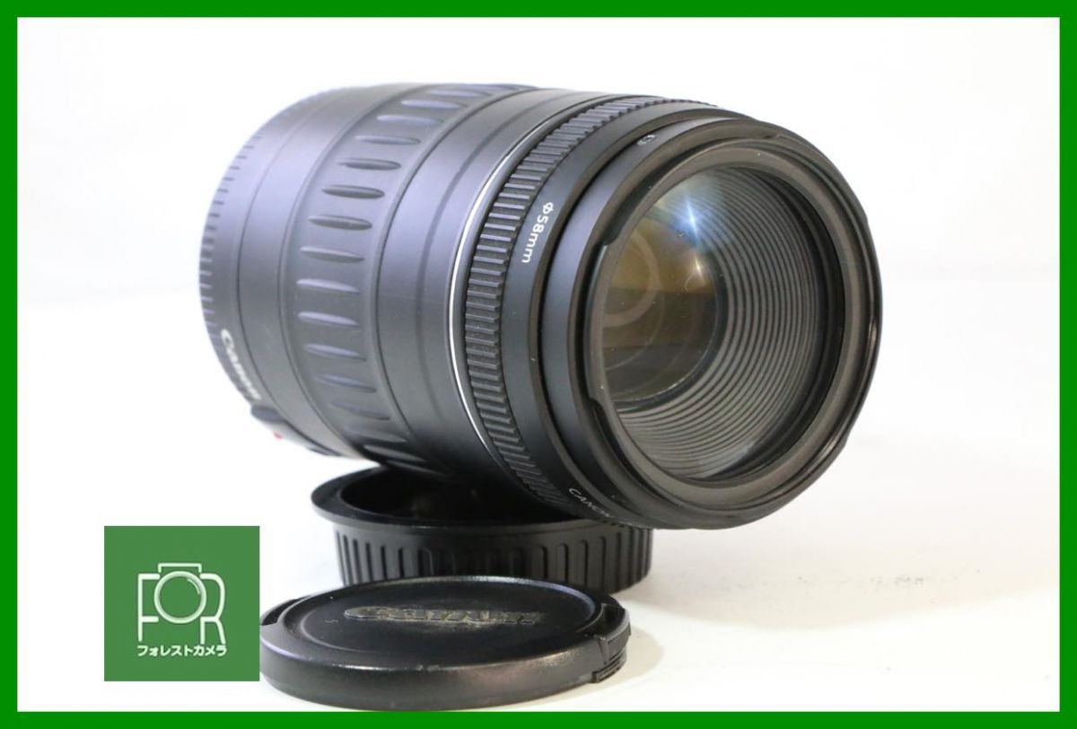 【同梱歓迎】【動作保証・点検済】光学極上■Canon EF 90-300mm F4.5-5.6■前後キャップ付き■AC766