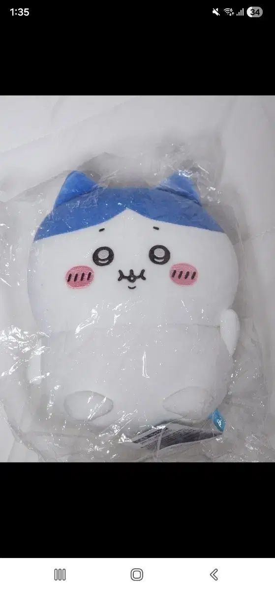 ハチワレ ぽちゃぽちゃワレ 豚ワレ ぽちゃぽちゃカワ ぽちゃカワ ぬいぐるみ