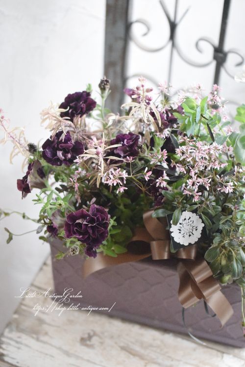 LittleAntiqueGardenの育てるアレンジメント 母の日にも！シックなプランターとペチュニアの寄せ植えギャザリング