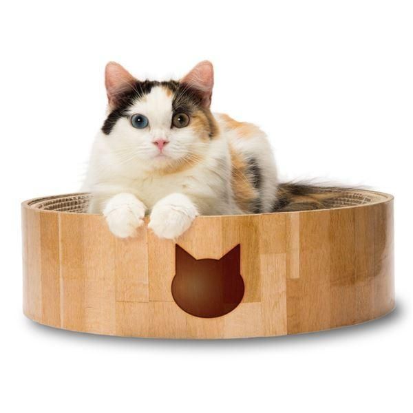 （まとめ）猫壱 バリバリボウル 猫柄（ペット用品）〔×5セット〕