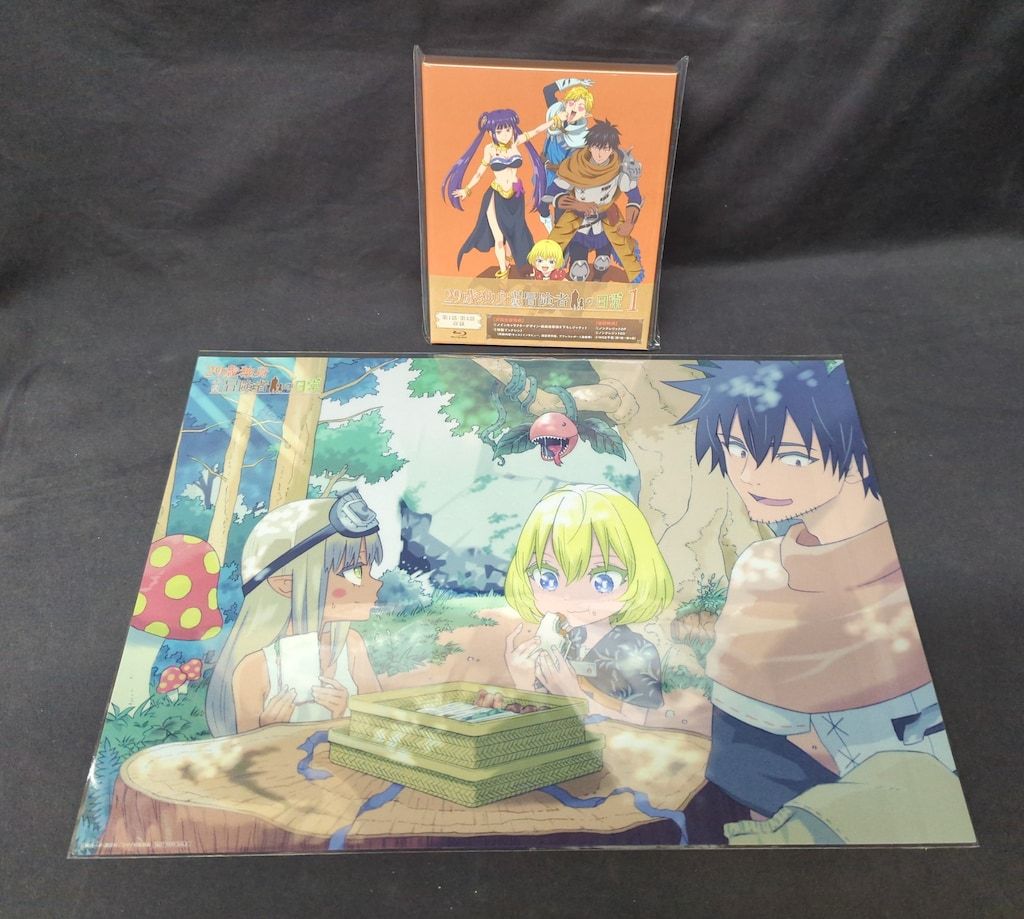 アニメBlu-ray 未開封 29歳独身中堅冒険者の日常 初回生産版 1 早期特典ポスター付