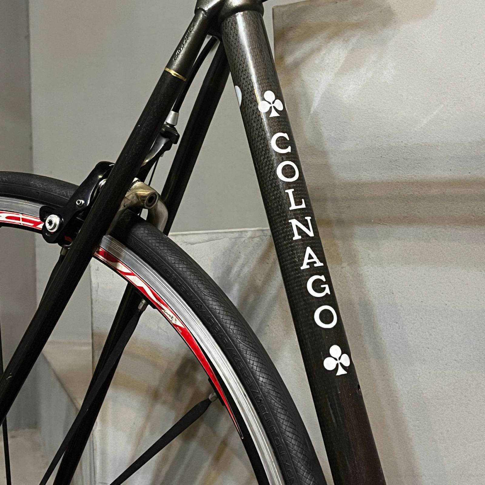 COLNAGO コルナゴ CARBITUBO カルビチューボ Campagnolo Record 11S 