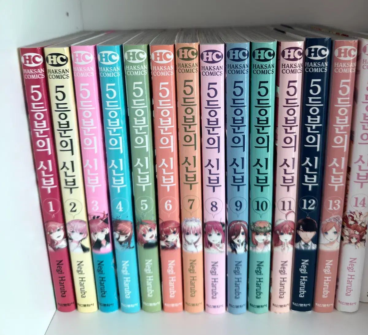 5 等分 花嫁 漫画 全巻 まとめ 出品