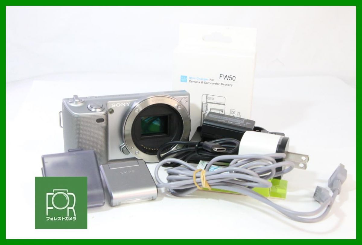 【動作保証・点検済】良品■SONY αNEX-5 1260864■■バッテリー・チャージャー・ストロボ・16GB SDカード付き■5291