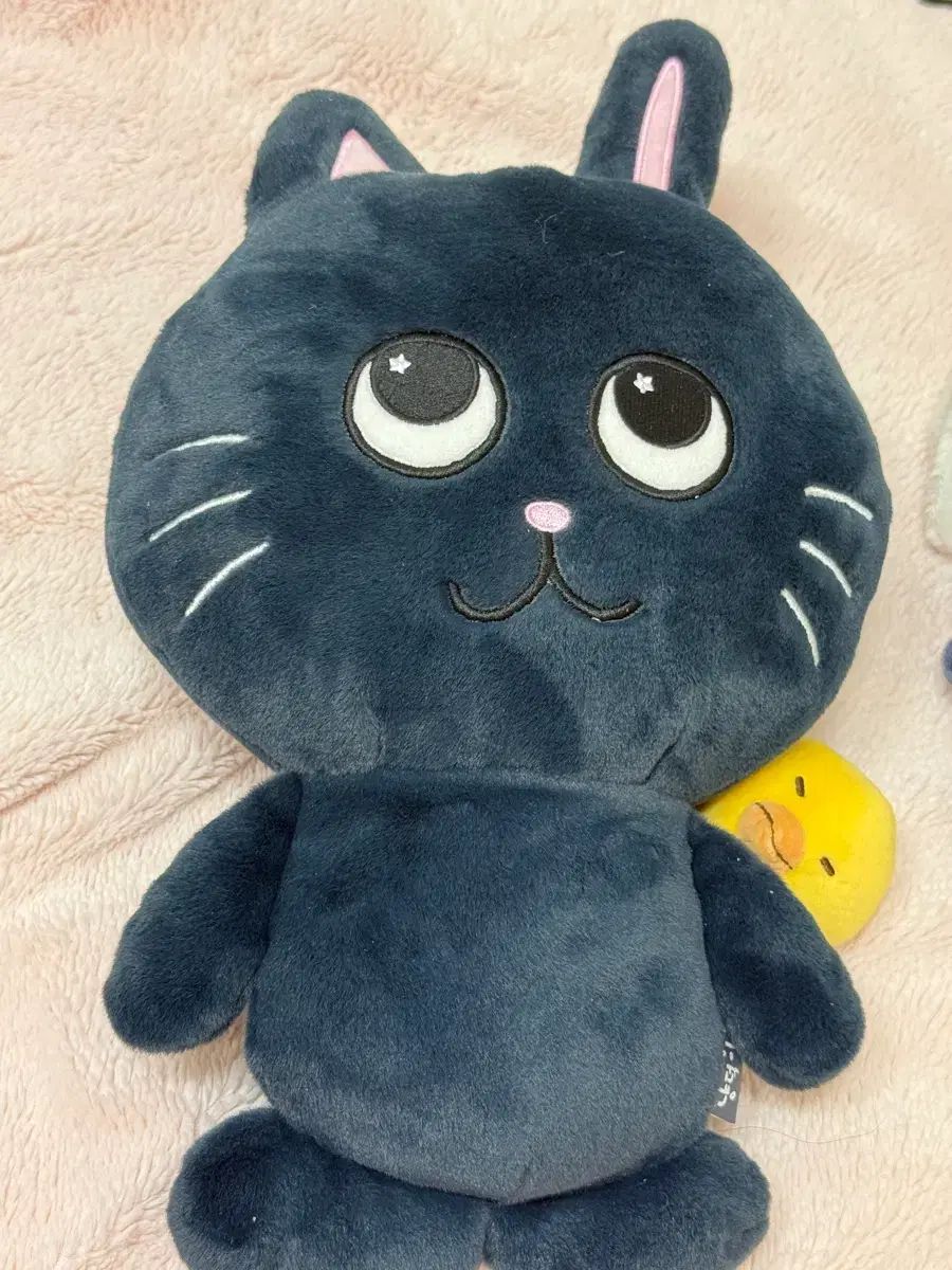 RIIZE（ライズ）ウォンビン(WONBIN) トゥーニャンダック 40cm