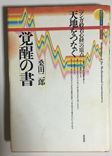 天地をつなぐ覚醒の書: マンガ般若心経の原点 (現代のさとり体験シリーズ)