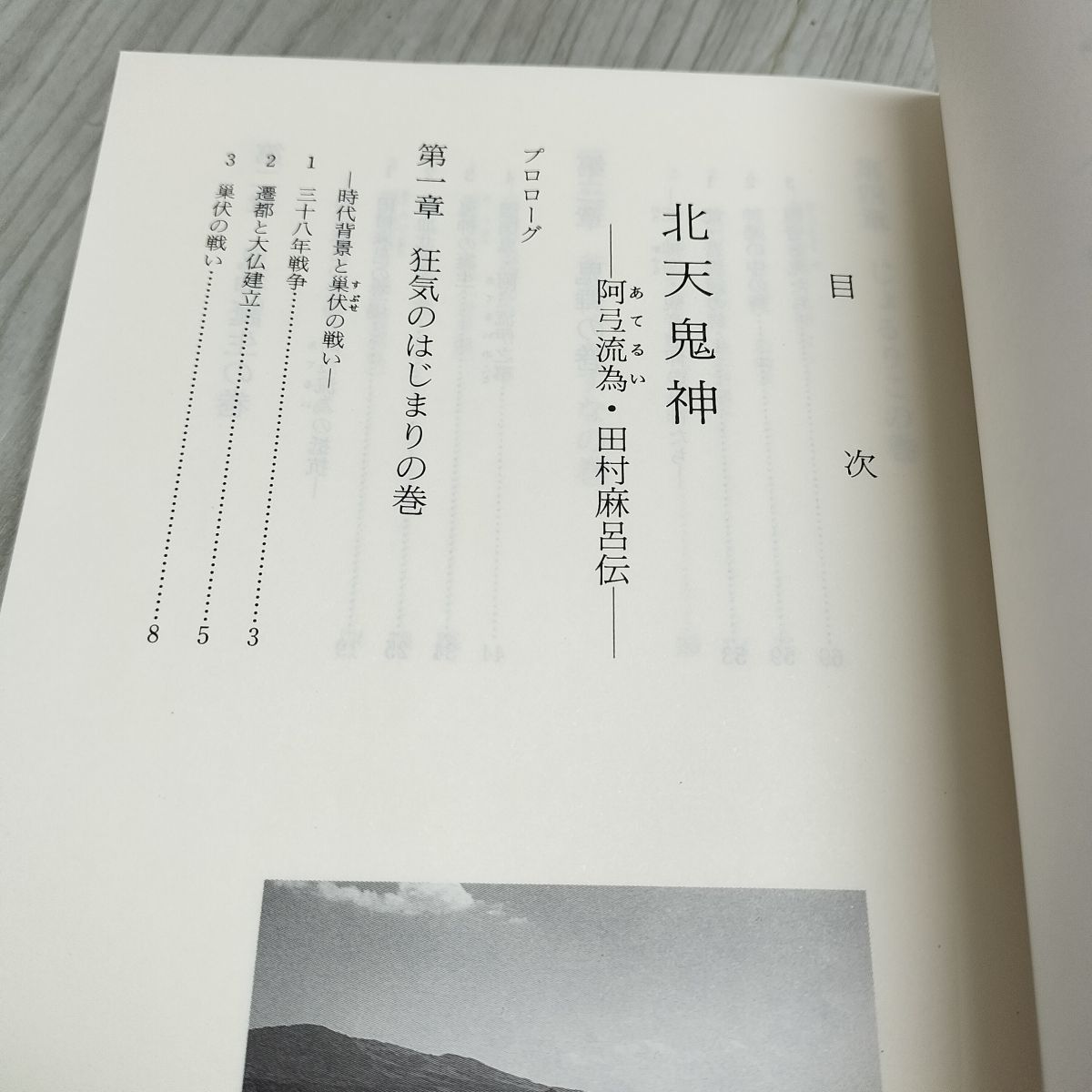 北天の鬼神 阿弖流為 あてるい ・田村麻呂伝 菊池敬一 080052 - メルカリ