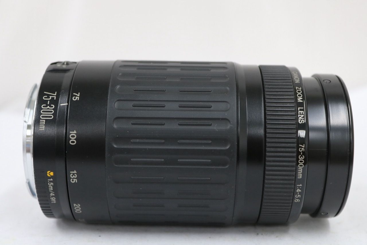 【訳あり品】 【元箱付き】キャノン Canon EF 75-300mm F4-5.6 レンズ e11436 【訳あり品】 【元箱付き】キャノン Canon EF 75-300mm F4-5.6 レンズ e11436