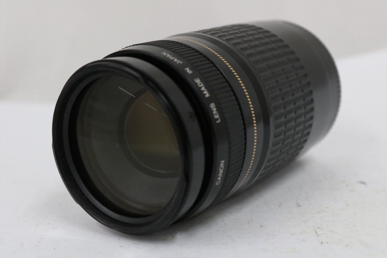 【返品保証】 キャノン Canon EF 75-300mm F4-5.6 ULTRASONIC レンズ e11434