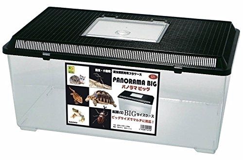 SANKO パノラマ ビッグt