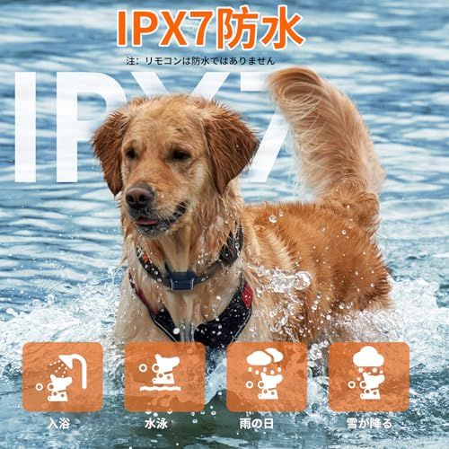犬用無駄吠え防止首輪 吠え防止グッズ しつけ首輪、2000フィートのリモート付き、小型レシーバーカラー，小型犬，中型犬（3?60ポンド）、99段階の 精密制御 衝撃、16段振動 3段ビープ音、防水、充電式（日本語説明書）深藍 (深藍)t