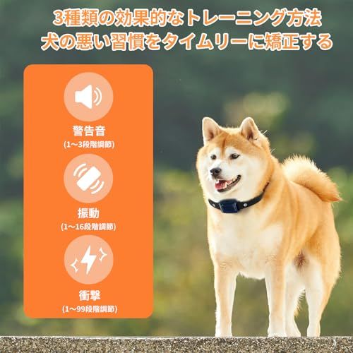 犬用無駄吠え防止首輪 吠え防止グッズ しつけ首輪、2000フィートのリモート付き、小型レシーバーカラー，小型犬，中型犬（3?60ポンド）、99段階の 精密制御 衝撃、16段振動 3段ビープ音、防水、充電式（日本語説明書）深藍 (深藍)t