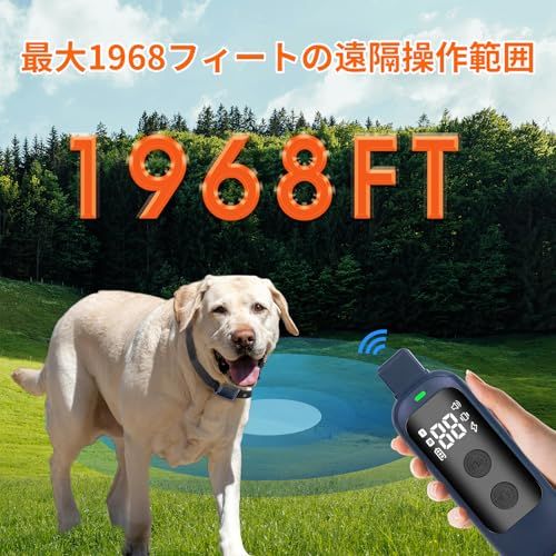 犬用無駄吠え防止首輪 吠え防止グッズ しつけ首輪、2000フィートのリモート付き、小型レシーバーカラー，小型犬，中型犬（3?60ポンド）、99段階の 精密制御 衝撃、16段振動 3段ビープ音、防水、充電式（日本語説明書）深藍 (深藍)t