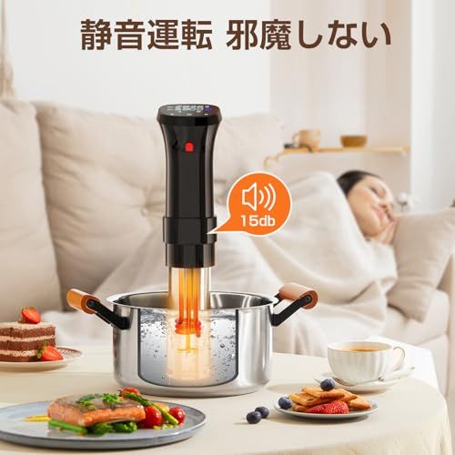 低温調理器 1100Wハイパワー 低温調理器具 24時間 予約機能 真空調理器 スロークッカー レシピ付き IPX7防水 タッチパネル クリップ式 低温調理機 低音調理器 タイマー 温度設定 五重安心保護 日本語取扱説明書t