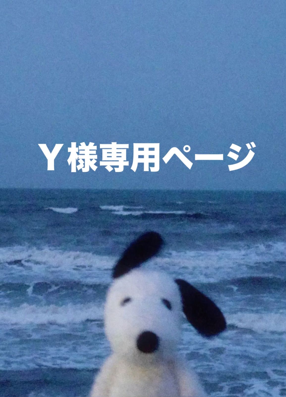 Ｙ様専用ページです。