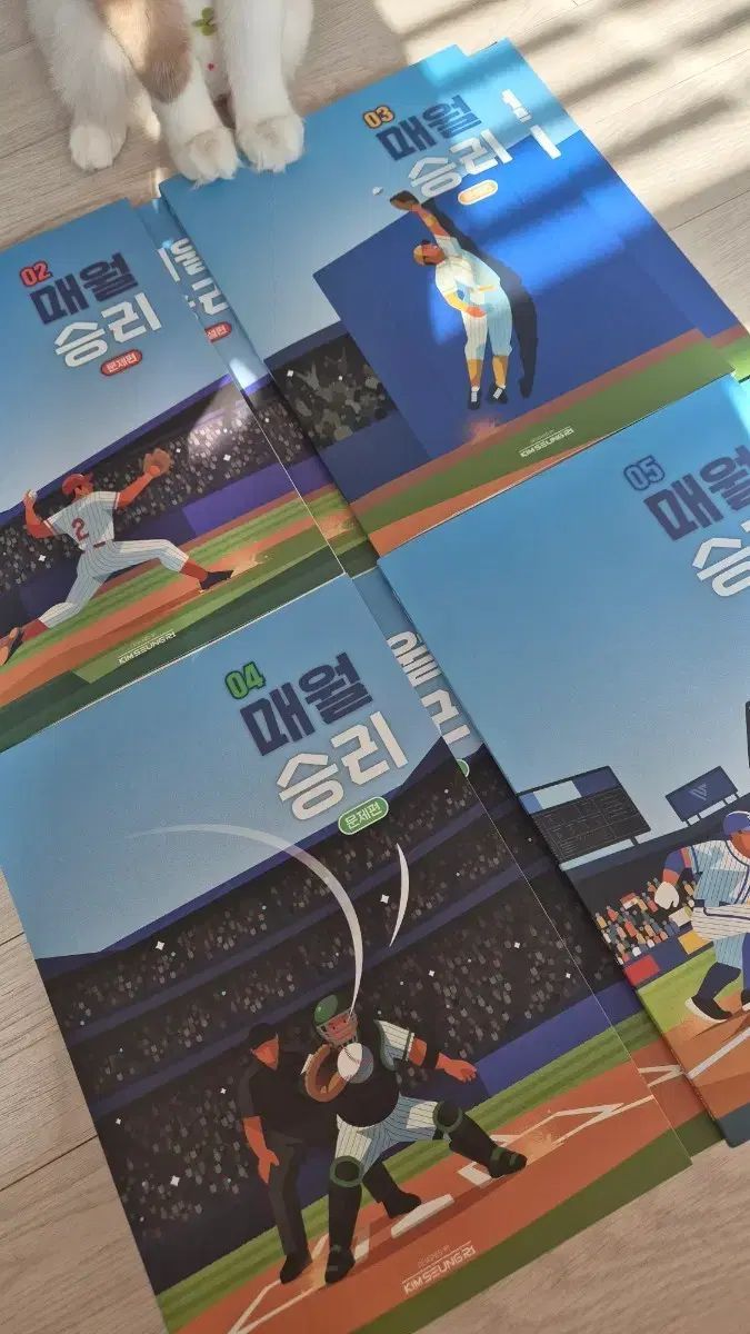 デソン キム・スンリ 毎月勝利 2027年 2月 5月分 出品