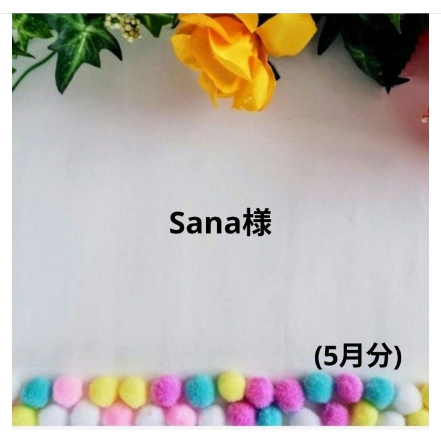 ☆Sana様☆犬服☆ハンドメイド☆オーダー