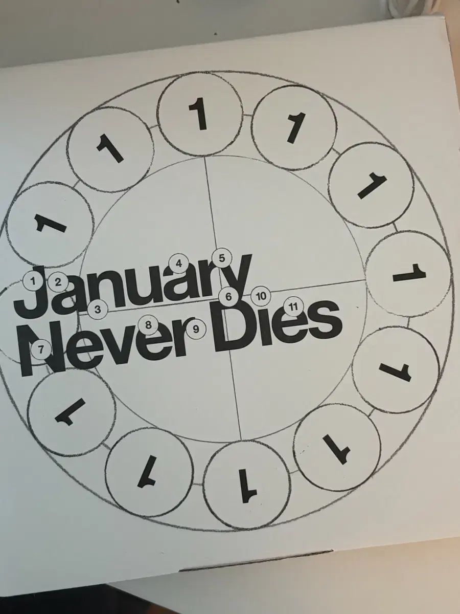 ベイミングタイガー January Never Die サン・ブッダ アルバム