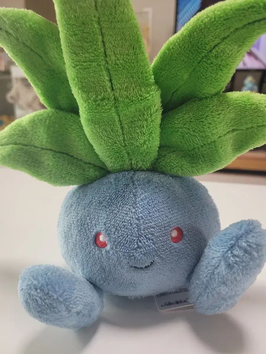 キヅタ BANDAI ぬいぐるみ ポケットモンスター