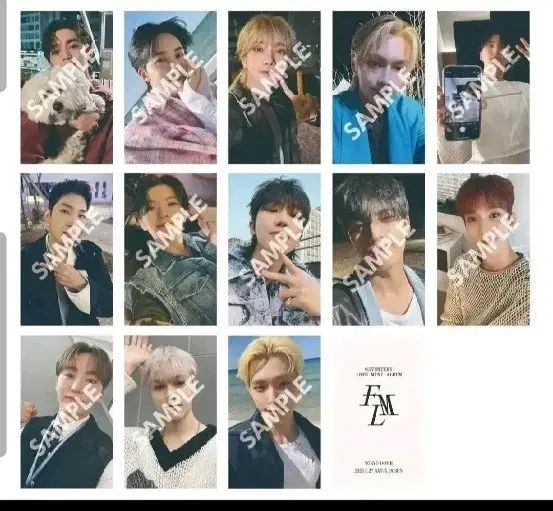 SEVENTEEN(セブンティーン・セブチ) 会場限定 23 日本 ユニバーサル ファンミーティング LOVE ラブ まとめ トレカ