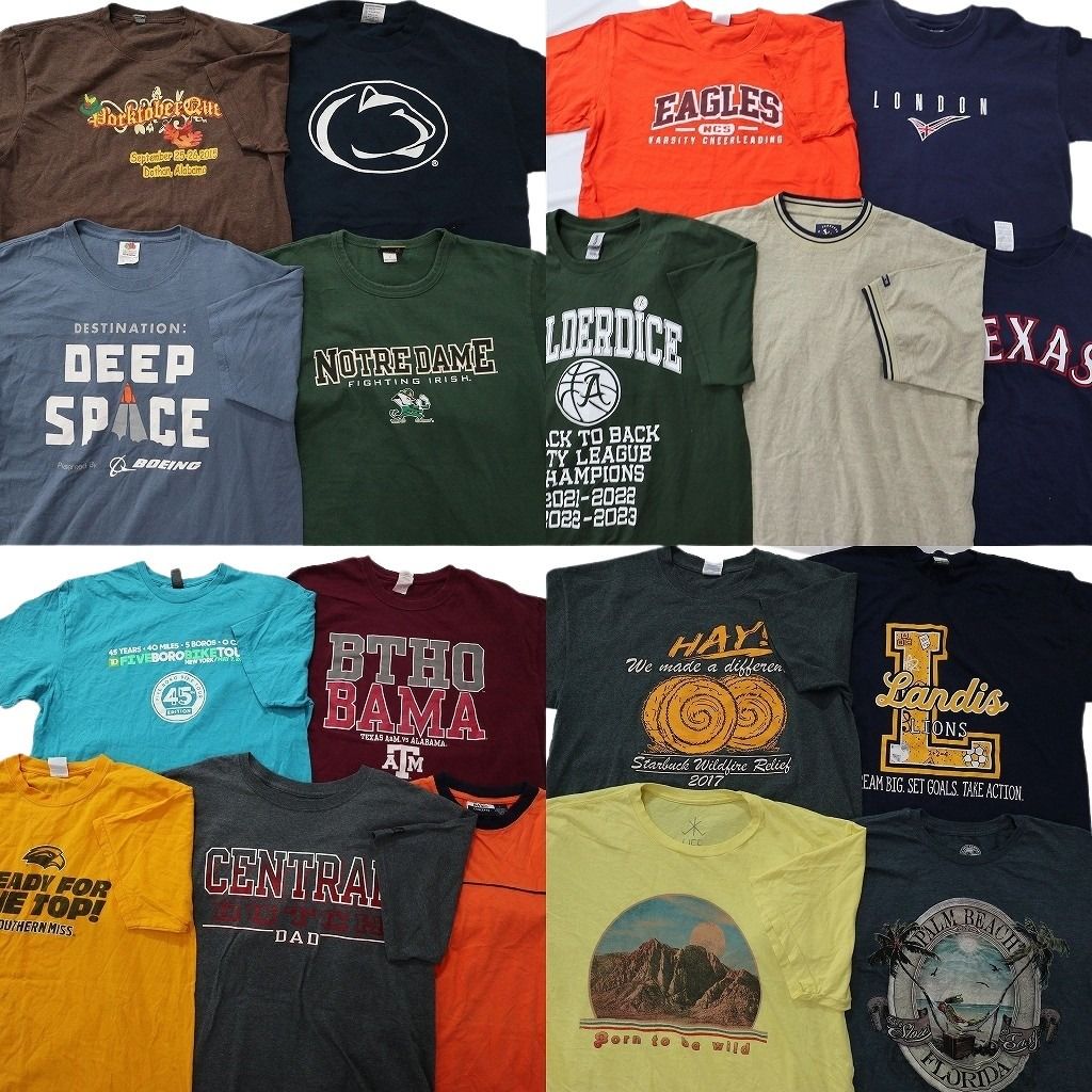 古着卸 まとめ売り カラー Tシャツ 18枚セット ( メンズ L ) アーチロゴ カレッジ風 ワンポイント 英文字プリント 中古 古着 NE6927