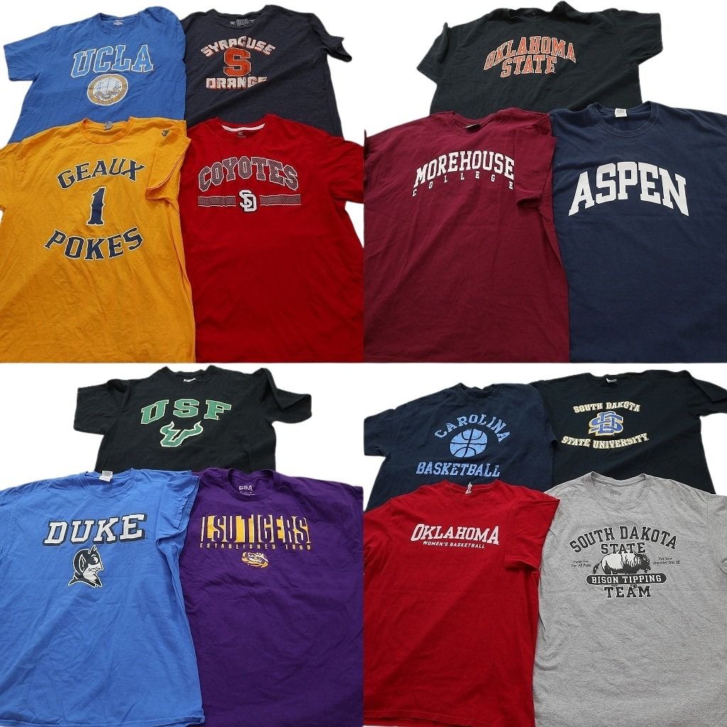 古着卸 まとめ売り カレッジ風 Tシャツ 14枚セット ( メンズ XL/2XL/3XL ) アーチロゴ 英文字プリント 中古 古着 NE6961