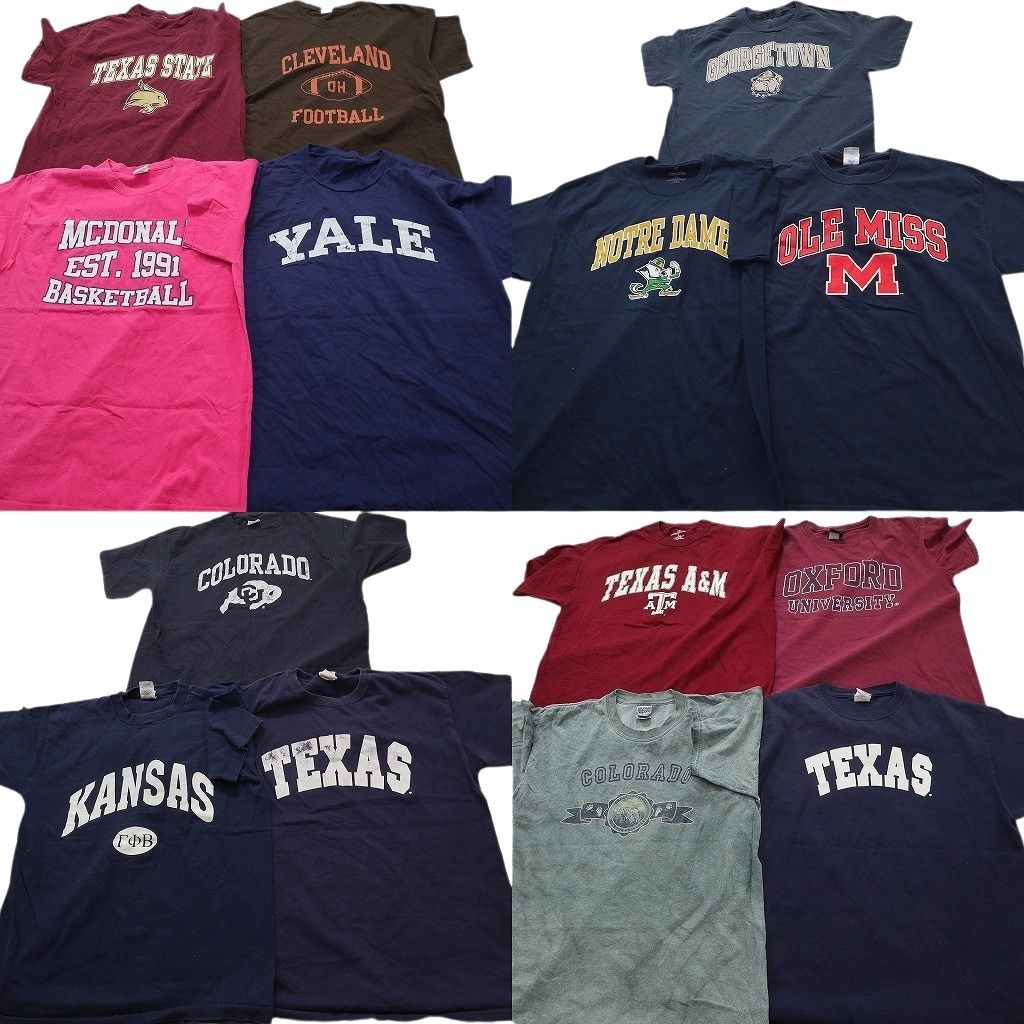 古着卸 まとめ売り カレッジ風 Tシャツ 14枚セット ( メンズ L ) アーチロゴ 英文字プリント 中古 古着 NE6963