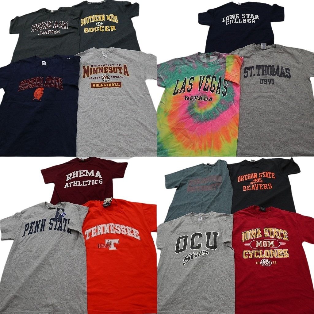 古着卸 まとめ売り カレッジ風 Tシャツ 14枚セット ( メンズ M ) デッドストック アーチロゴ タイダイ柄 英文字プリント 中古 古着 NE6964
