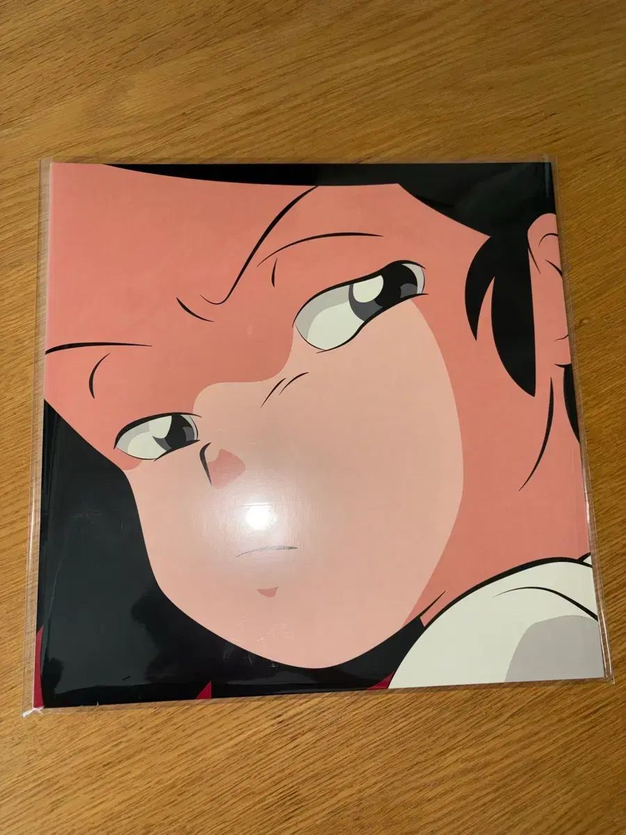 (応相談) adoy 安土井 catnip lp