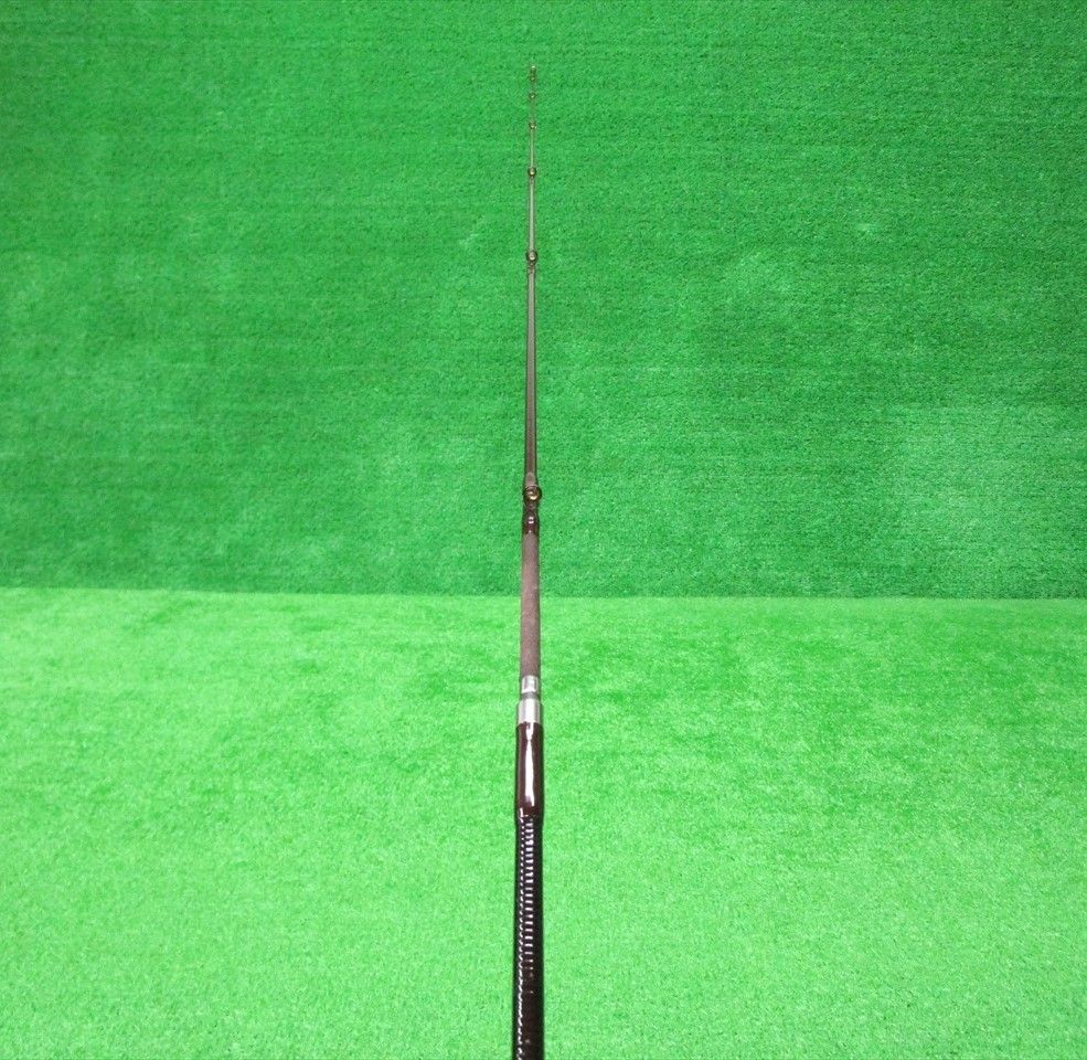 ECH豊 NFT NFベイシス 石鯛 540 - メルカリ