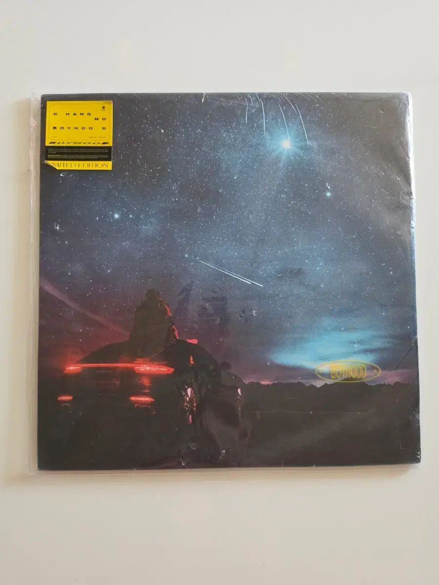 チャンモ BOYHOOD 限定盤 LP 未開封